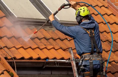Démoussage et hydrofuge de toiture à Orléat
